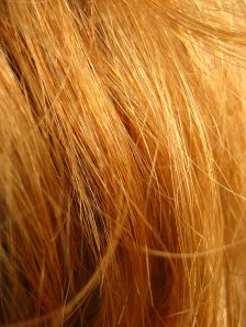 512px-Redhead_close_up